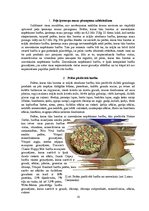 Referāts 'Barības ietekme uz peļu attīstību', 15.