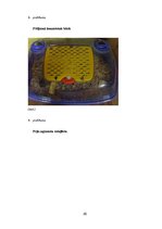 Referāts 'Barības ietekme uz peļu attīstību', 20.