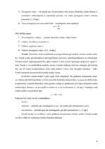Referāts 'Pilsētas maksas autostāvvietu noslogotības prognoze', 9.