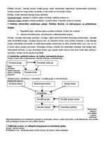 Konspekts 'Politoloģija', 2.