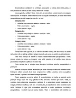 Diplomdarbs 'Personāla vadības efektivitātes', 39.