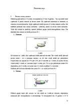 Diplomdarbs 'Uzņēmuma X reālā un ideālā organizācijas kultūras novērtējuma raksturojums', 33.