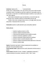 Referāts 'Uzņēmuma saimnieciskā darbība', 5.