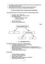 Referāts 'Uzņēmuma saimnieciskā darbība', 7.