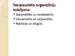 Prezentācija 'Starptautisko publisko tiesību subjekti', 17.