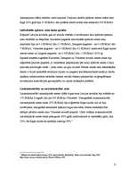 Referāts 'Nekustamā īpašuma tirgus', 11.