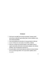 Referāts 'Nekustamā īpašuma tirgus', 12.