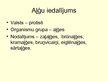 Prezentācija 'Aļģes', 3.