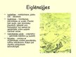 Prezentācija 'Aļģes', 14.