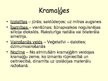 Prezentācija 'Aļģes', 15.