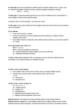 Konspekts 'Mikroekonomikas termini', 11.