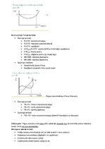 Konspekts 'Mikroekonomikas termini', 16.