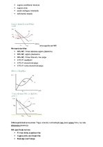 Konspekts 'Mikroekonomikas termini', 18.