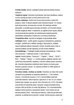 Referāts 'Tehnoloģijas medicīnā. Elektroķirurģija un elektroterapijas', 15.