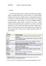 Referāts 'Sejas mikroizteiksmes', 7.