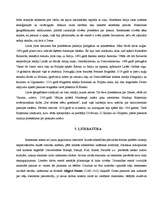 Referāts 'Renesanses laikmets', 6.