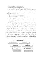 Diplomdarbs 'Tirdzniecības uzņēmējdarbības problēmas un to risinājumi Balvu pilsētā', 12.