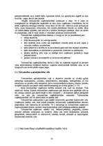 Diplomdarbs 'Tirdzniecības uzņēmējdarbības problēmas un to risinājumi Balvu pilsētā', 16.