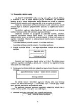 Diplomdarbs 'Tirdzniecības uzņēmējdarbības problēmas un to risinājumi Balvu pilsētā', 42.