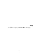 Diplomdarbs 'Tirdzniecības uzņēmējdarbības problēmas un to risinājumi Balvu pilsētā', 55.