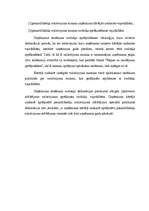 Referāts 'Pamatlīdzekļu nolietojums ', 29.