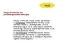 Prezentācija 'Juridiskās personas kā tiesisko attiecību subjekti: mūsdienu tendences', 11.