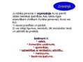 Prezentācija 'Juridiskās personas kā tiesisko attiecību subjekti: mūsdienu tendences', 12.
