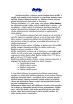 Referāts 'Šizofrēnija', 1.