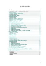 Referāts 'Latvijas valsts budžeta analīze', 2.