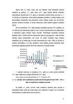 Referāts 'Latvijas valsts budžeta analīze', 31.