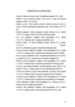 Referāts 'Latvijas valsts budžeta analīze', 36.