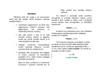 Paraugs 'Niveliera pārbaude', 5.