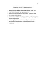 Referāts 'Mārketinga pētījuma nozīme uzņēmumā', 30.