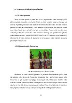 Referāts 'Video apstrādes un montāžas aprīkojums', 15.
