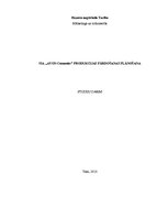 Referāts 'SIA "Avon" produkcijas pārdošanas plānošana', 1.