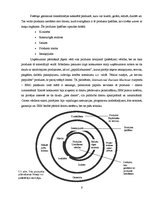 Referāts 'SIA "Avon" produkcijas pārdošanas plānošana', 6.