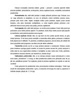 Referāts 'SIA "Avon" produkcijas pārdošanas plānošana', 7.