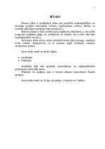 Biznesa plāns 'SIA "Feel Good"', 2.