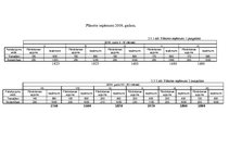 Biznesa plāns 'SIA "Feel Good"', 11.