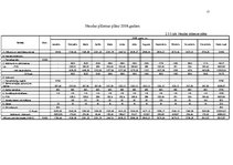 Biznesa plāns 'SIA "Feel Good"', 12.