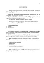 Biznesa plāns 'SIA "Feel Good"', 19.