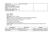 Prakses atskaite 'Aktīvā mācību un audzināšanas prakse pirmsskolā', 21.