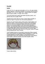 Referāts 'Vlads III Drakula', 4.