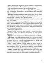 Referāts 'Romiešu tiesības', 16.