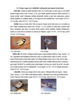 Referāts 'Putnu barošanās ziemā', 8.