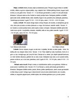 Referāts 'Putnu barošanās ziemā', 9.