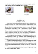 Referāts 'Putnu barošanās ziemā', 11.