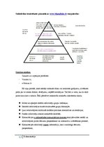 Referāts 'E-demokrātija', 13.