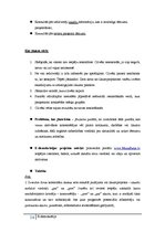 Referāts 'E-demokrātija', 14.