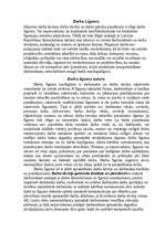 Eseja 'Darba līguma saturs un veidi', 1.